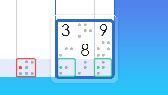 largest sudoku
